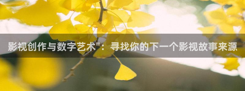 琪琪影院理论