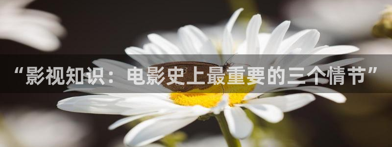 琪琪电影网：“影视知识：电影史上最重要的三个情节”