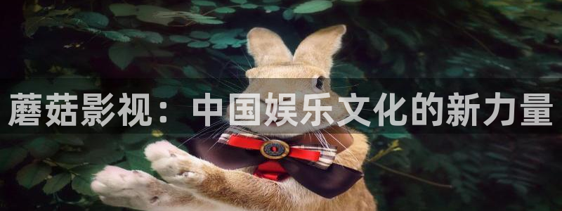 琪琪影院韩国电影：蘑菇影视：中国娱乐文化的新力量