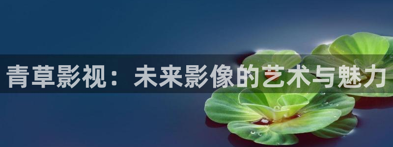 琪琪影院看：青草影视：未来影像的艺术与魅力