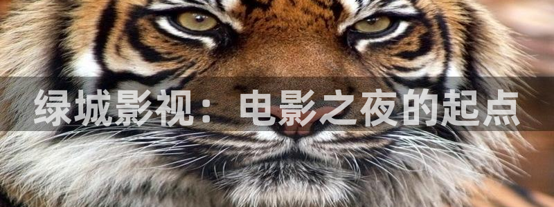 琪琪午夜影院国产精品