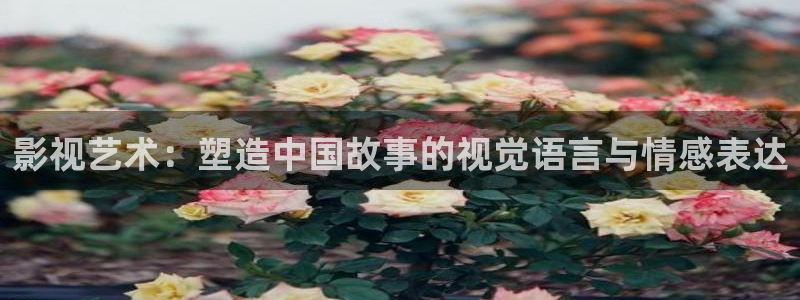 琪琪影视伦理：影视艺术：塑造中国故事的视觉语言与情感表达