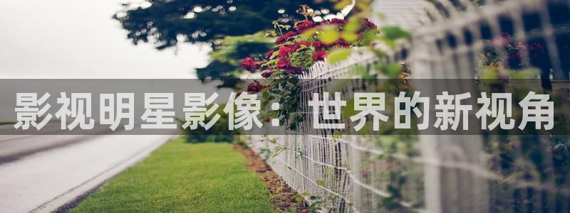 琪琪电影麻豆：影视明星影像：世界的新视角