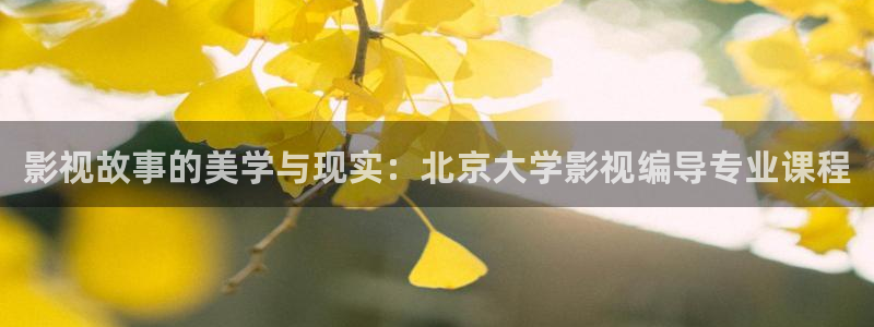 下载琪琪影院：影视故事的美学与现实：北京大学影视编导专业课程