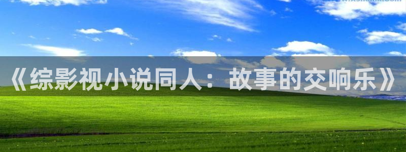 琪琪福利影院：《综影视小说同人：故事的交响乐》